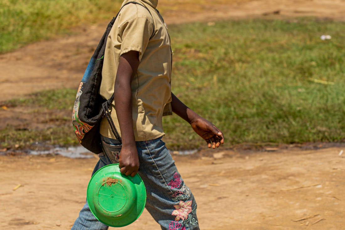 Health Benefits of Connecting with Nature for Optimal Well-Being Image 2