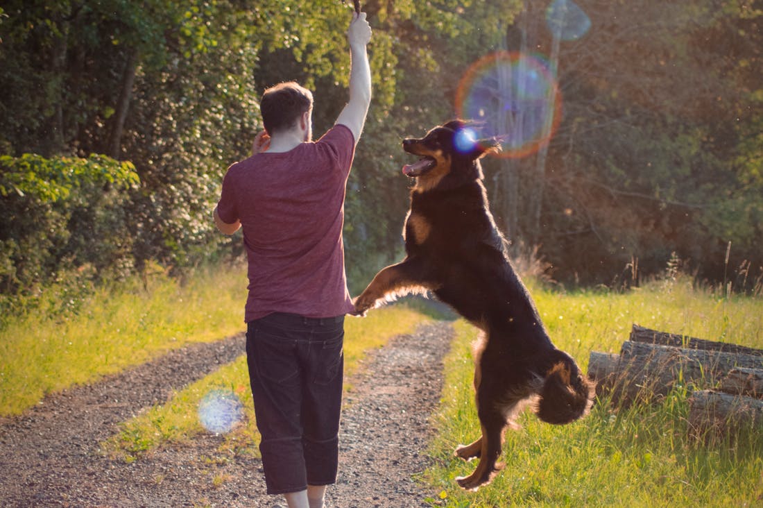 Health Benefits of Outdoor Activities for a Balanced Lifestyle Image 3