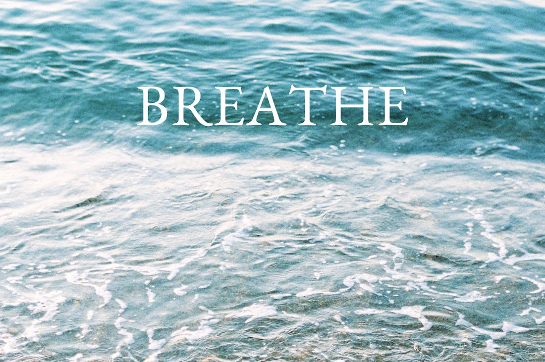 Healthy Habits for a Balanced Life: Nutrition, Exercise, and Mental Wellbeing Image 3