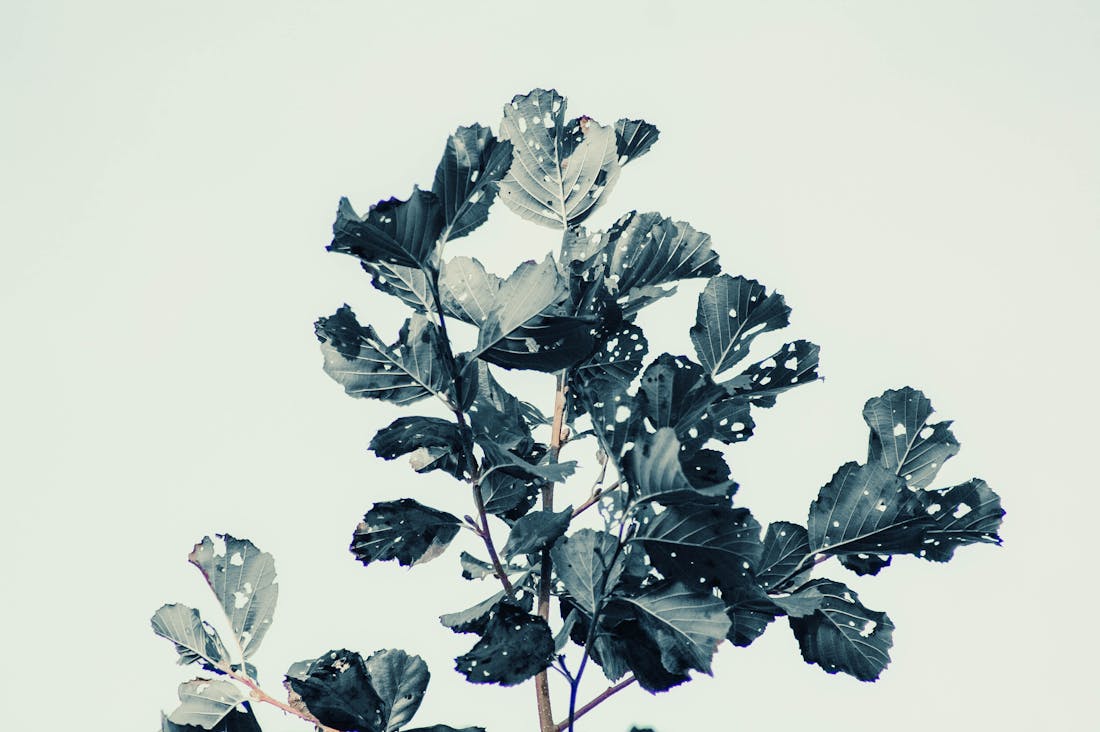 Healthy Habits for a Productive Life: Tips to Boost Your Daily Routine Image 1