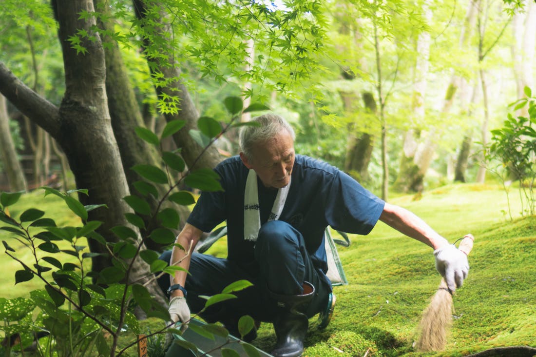 Holistic Approaches for Achieving Optimal Health: Integrating Mind, Body, and Spirit Image 3