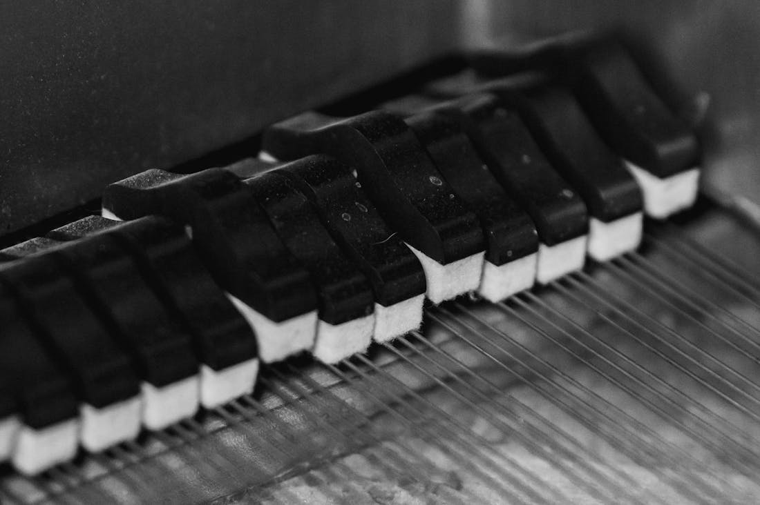 Holistic Approaches to Health: How Integrative Wellness Practices Can Transform Your Life Image 2