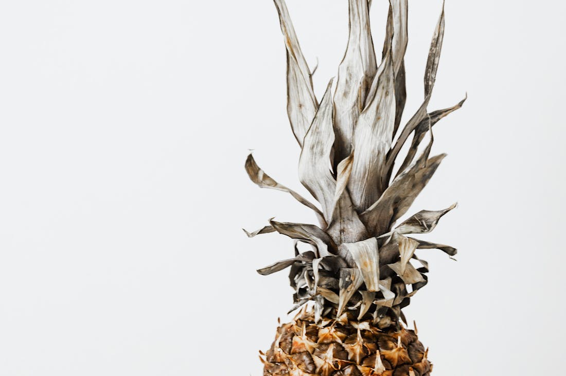 Holistic Approaches to Wellness in Everyday Life Image 2