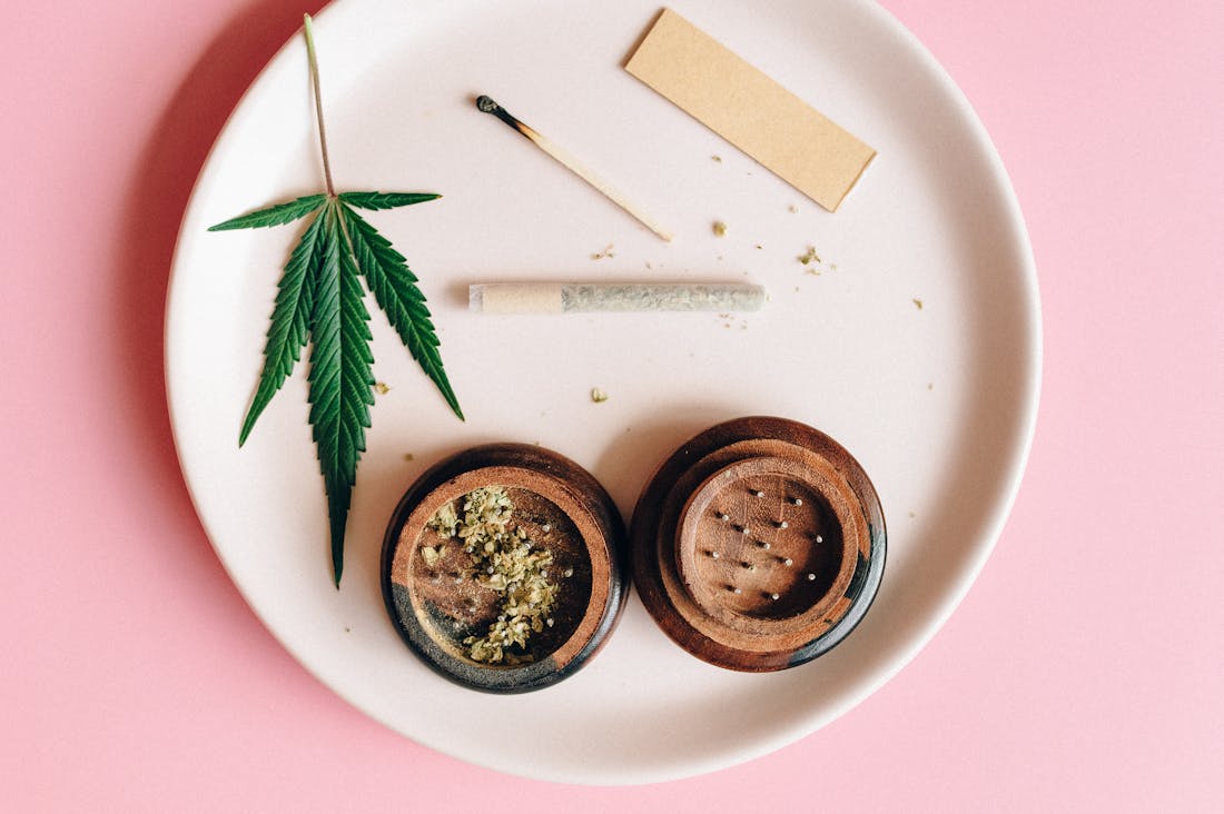 Holistic Health and Eco-Friendly Practices: A Guide to Sustainable Living Image 1