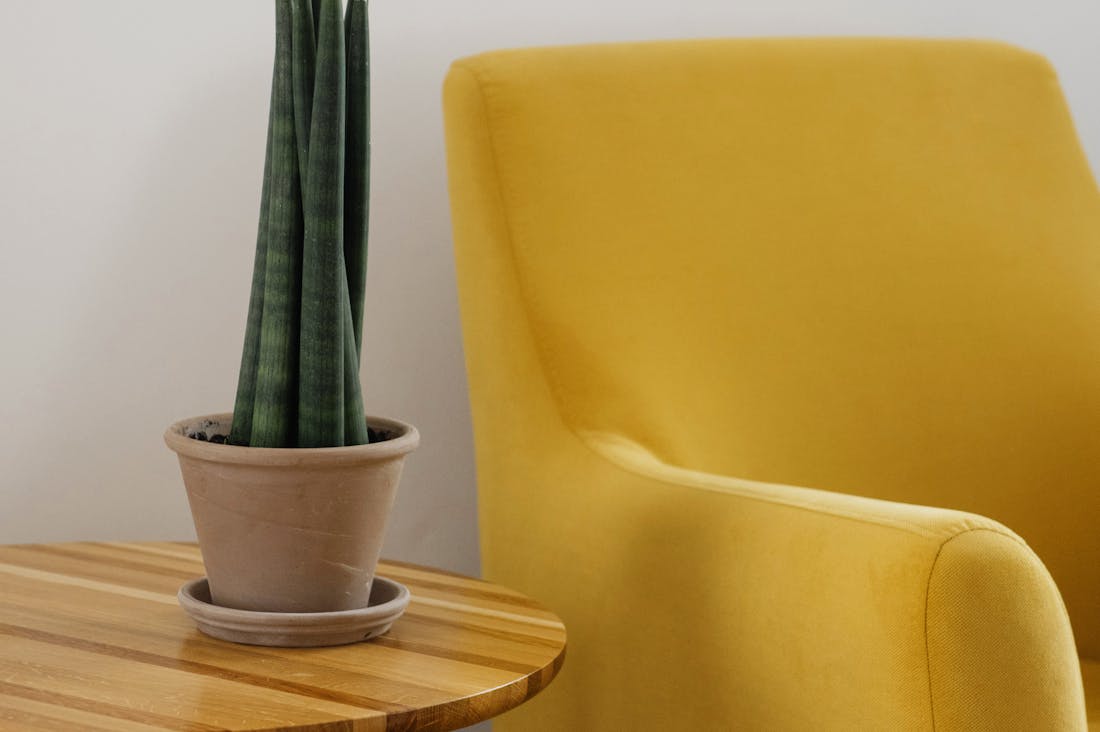 Home Décor Trends That Transform Spaces into Inviting Sanctuaries Image 1