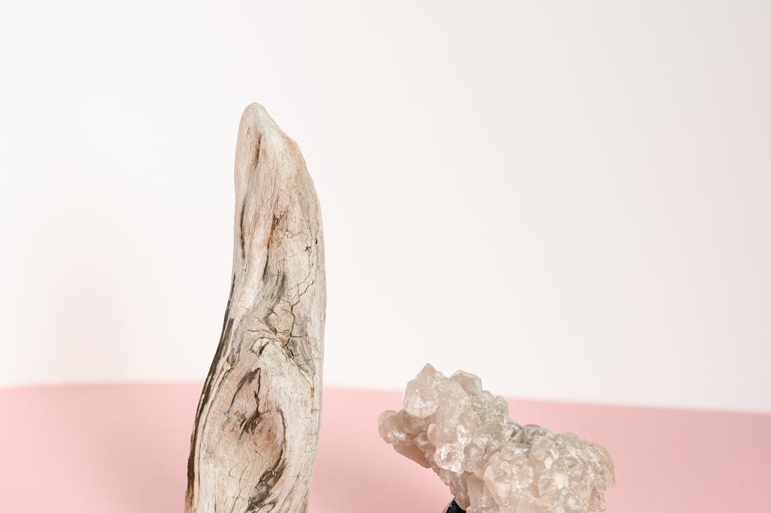 Home Décor Trends That Transform Spaces into Inviting Sanctuaries Image 2