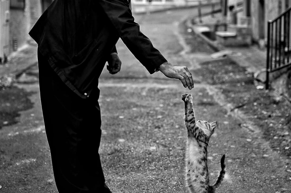 How Augmented Reality Is Reshaping Everyday Life Image 1