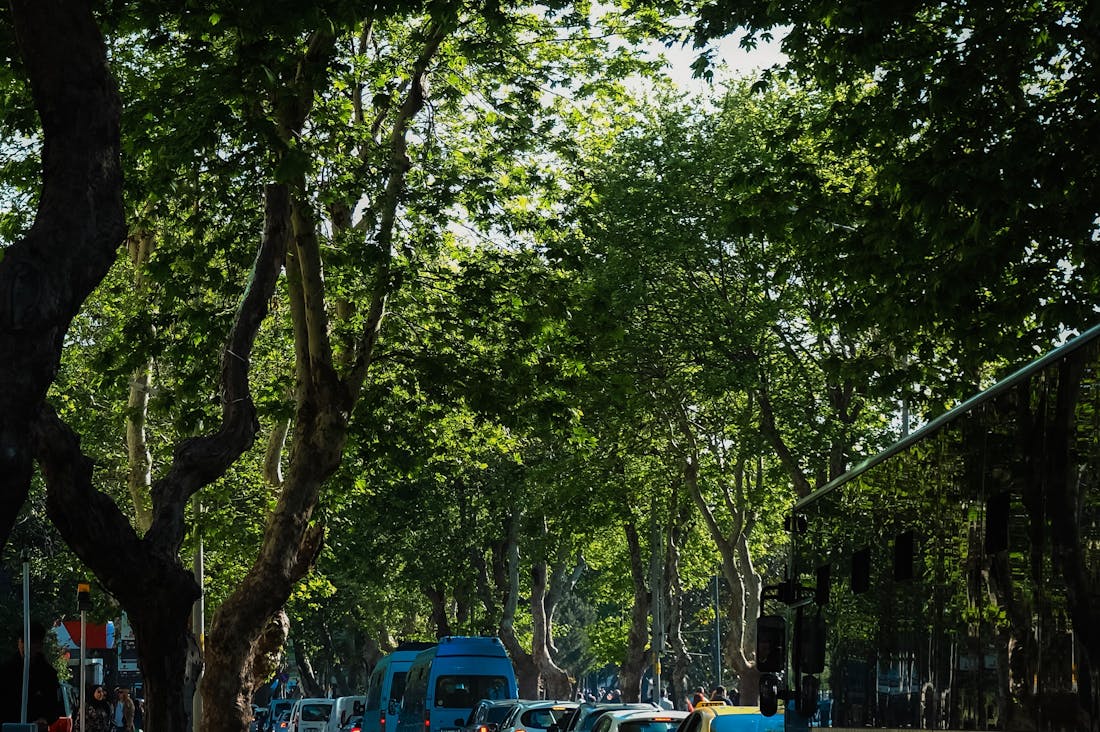 Impact of Electric Vehicles on Modern Transportation and Environment Image 2