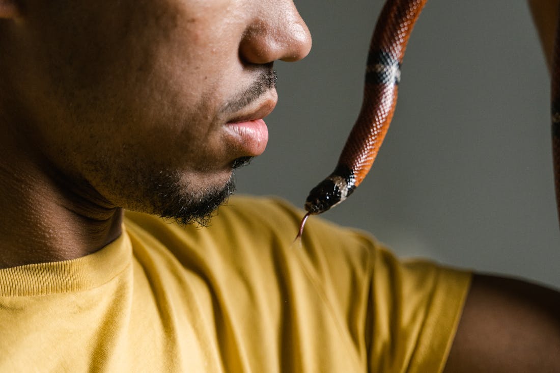 Incorporating Mindfulness into Daily Routines for Better Mental Health Image 3