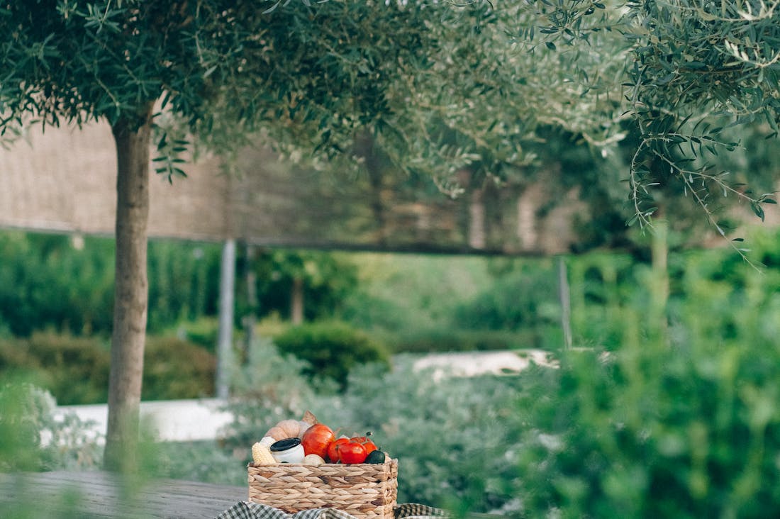 Incorporating Sustainable Practices in Everyday Living Image 3