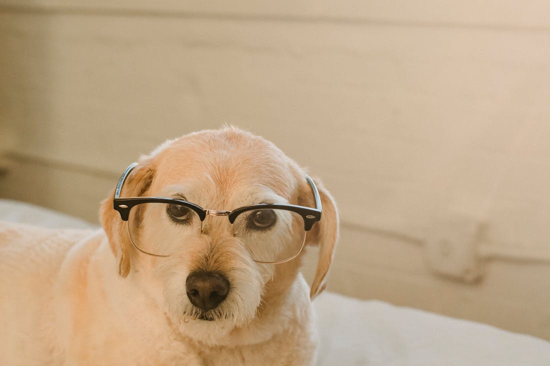 Innovating Your Lifestyle: How Technology is Transforming Everyday Living Image 1