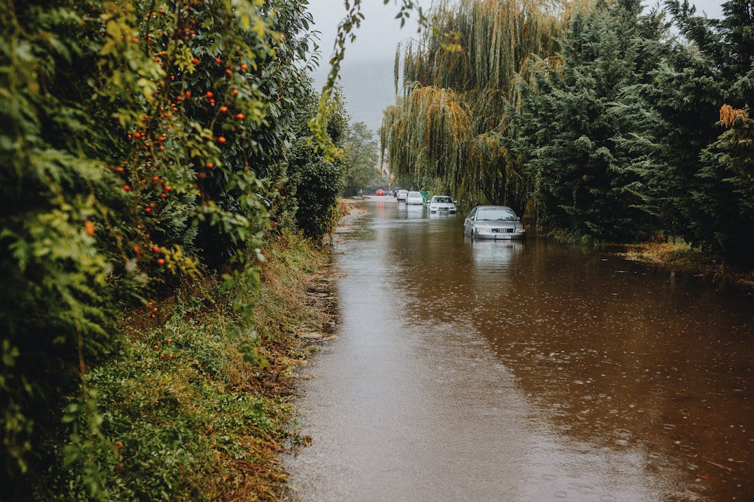 Innovations in Auto Technology That Are Shaping the Future of Transportation Image 1