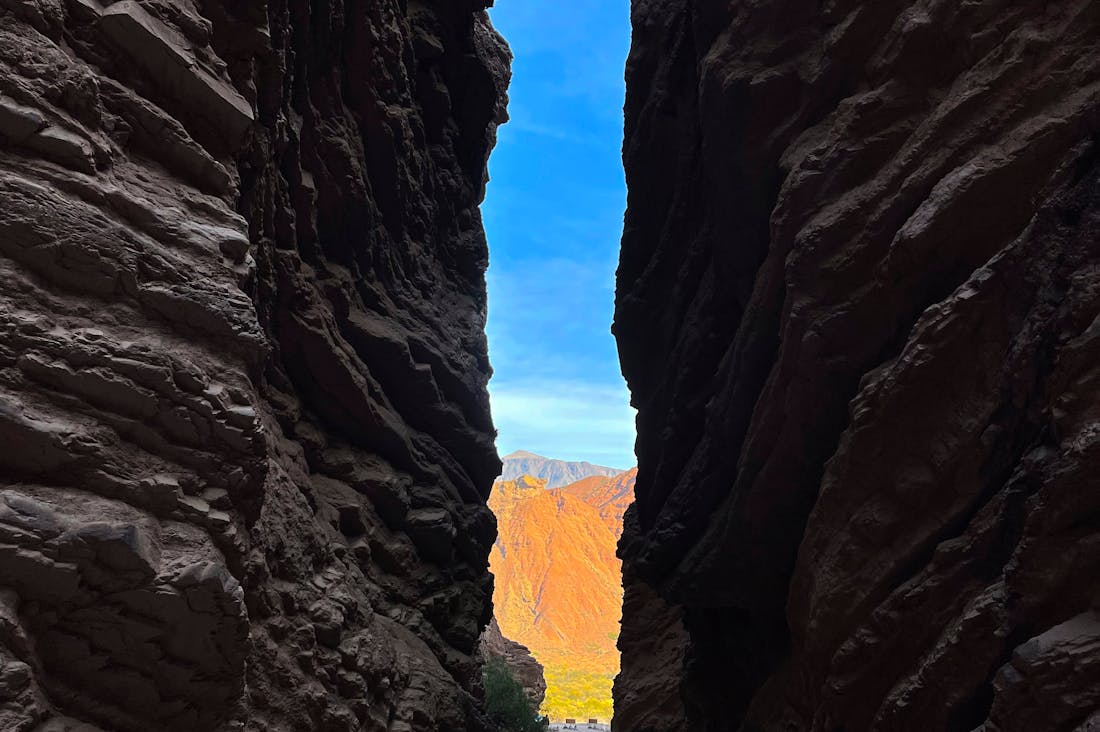 Innovations in Health Technology: The Future of Wellness and Personalized Care Image 2