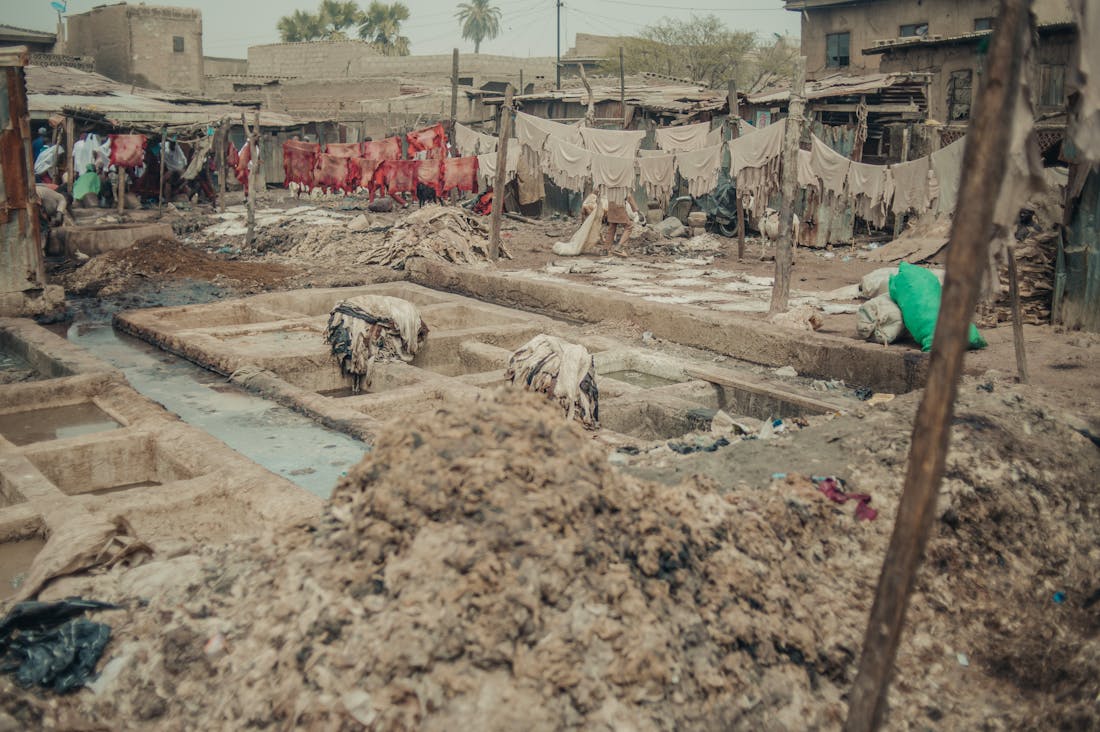 Innovations Transforming the Auto Industry for a Sustainable Future Image 3