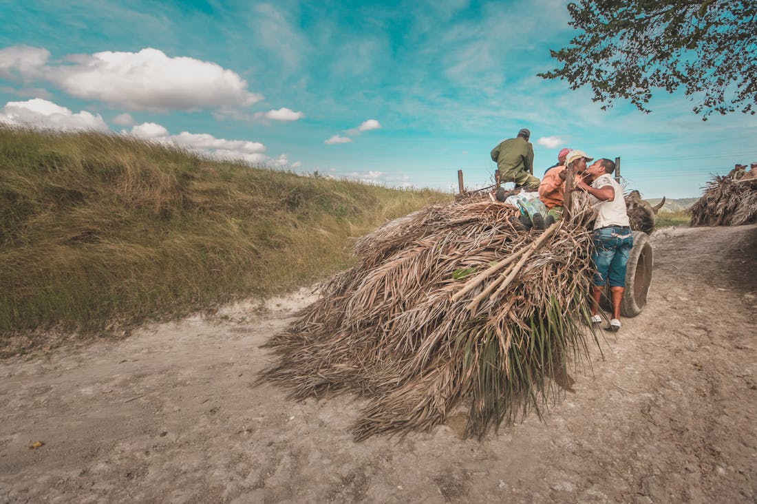 Innovative Approaches to Eco-Friendly Travel Without Breaking the Bank Image 2