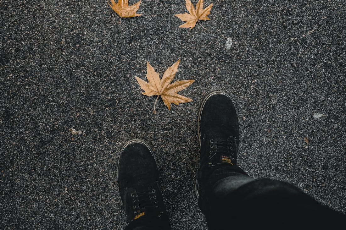 Innovative Approaches to Enhance Your Mental Wellbeing Image 1