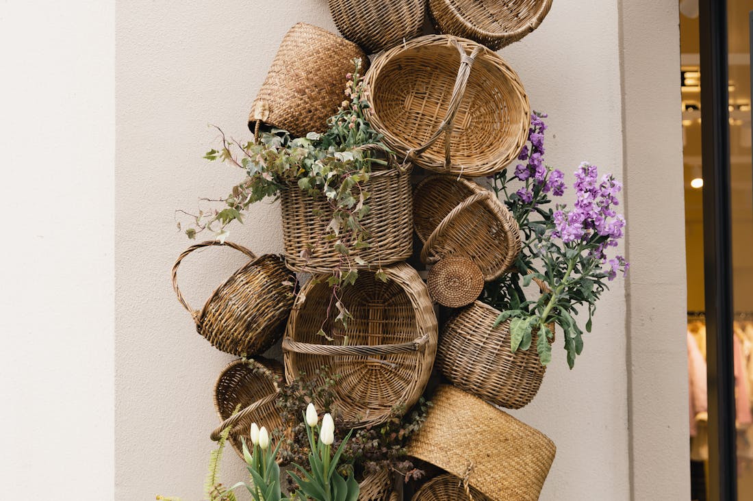 Innovative Approaches to Sustainable Travel Without Breaking the Bank Image 1