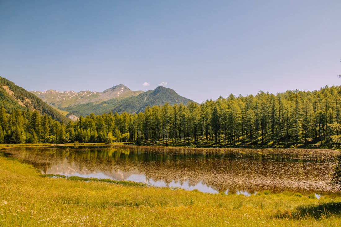 Innovative Approaches to Sustainable Travel Without Breaking the Bank Image 2