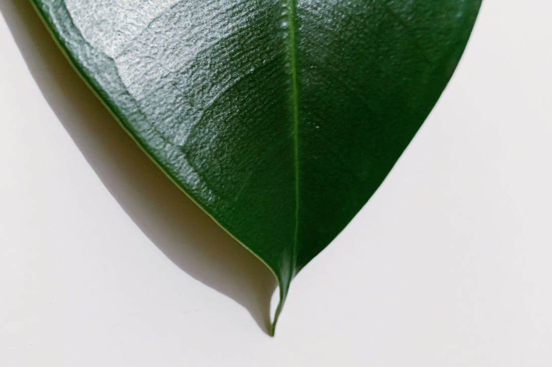 Innovative Health Hacks for a Thriving Lifestyle: Tips for Everyday Wellness Image 2