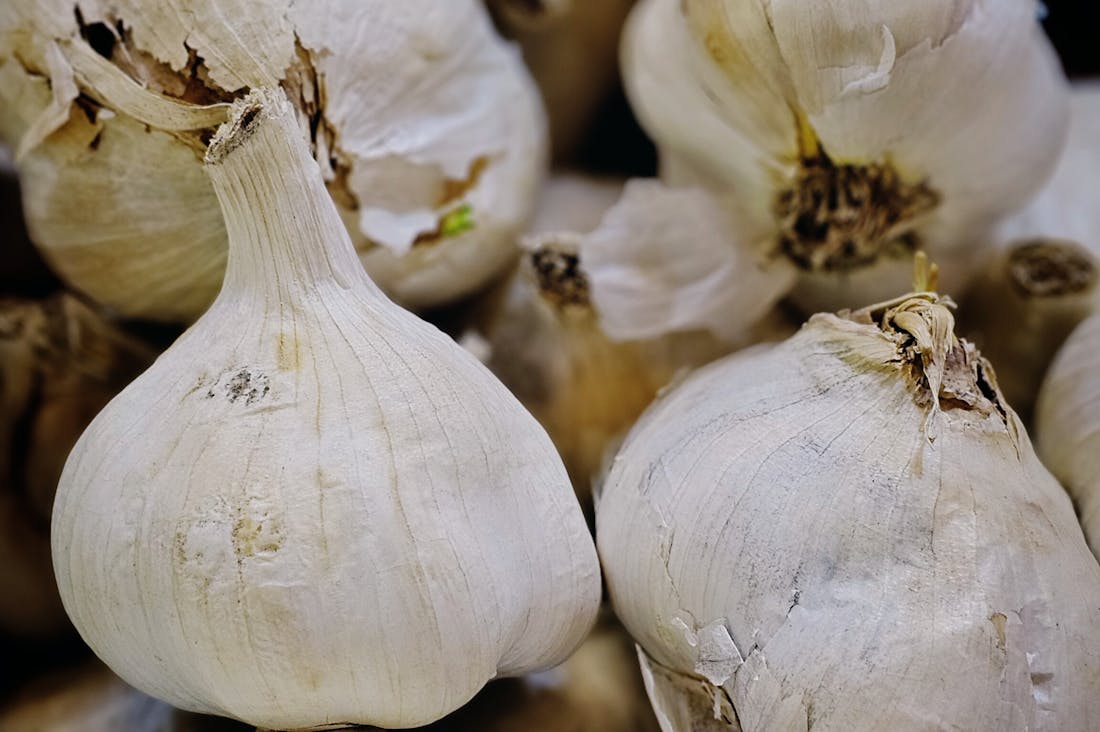 Innovative Health Strategies for a Balanced Lifestyle Image 1