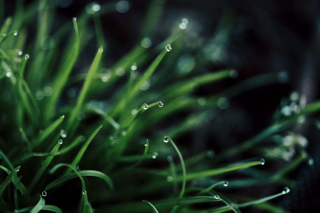 Innovative Health Trends Shaping Fitness Regimens and Nutrition Choices Image 2