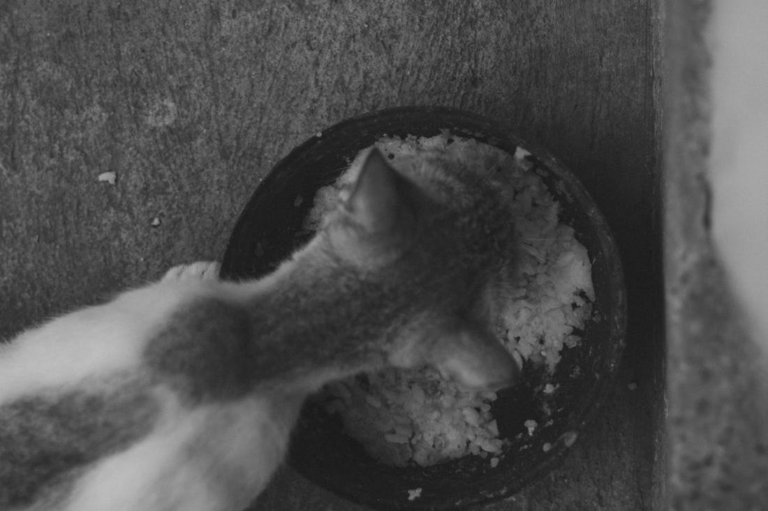 Innovative Strategies to Enhance Daily Health and Wellness Habits Image 2