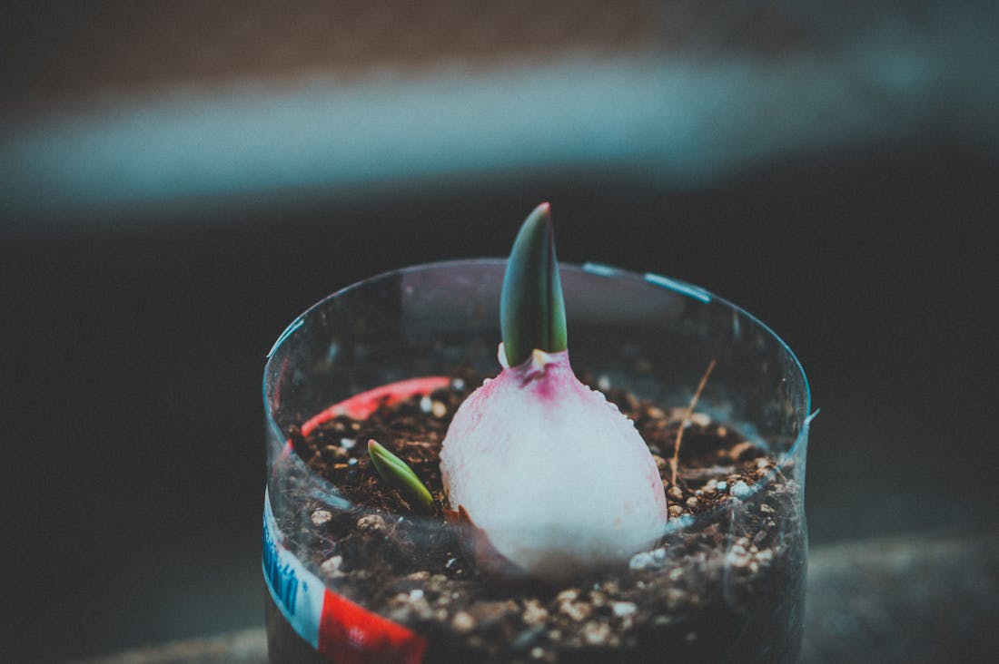 Innovative Technologies Reshaping the Future of Personal Finance Management Image 2