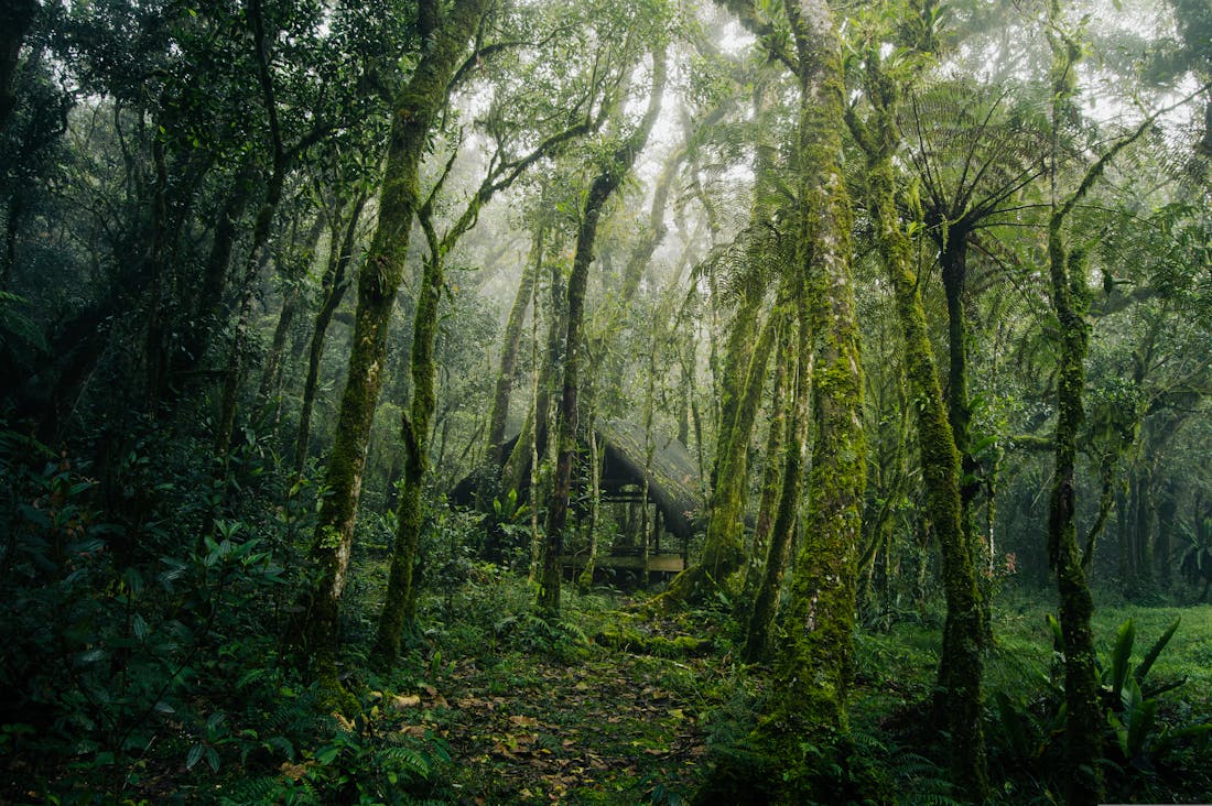 Innovative Travel Destinations That Go Beyond the Ordinary Image 1