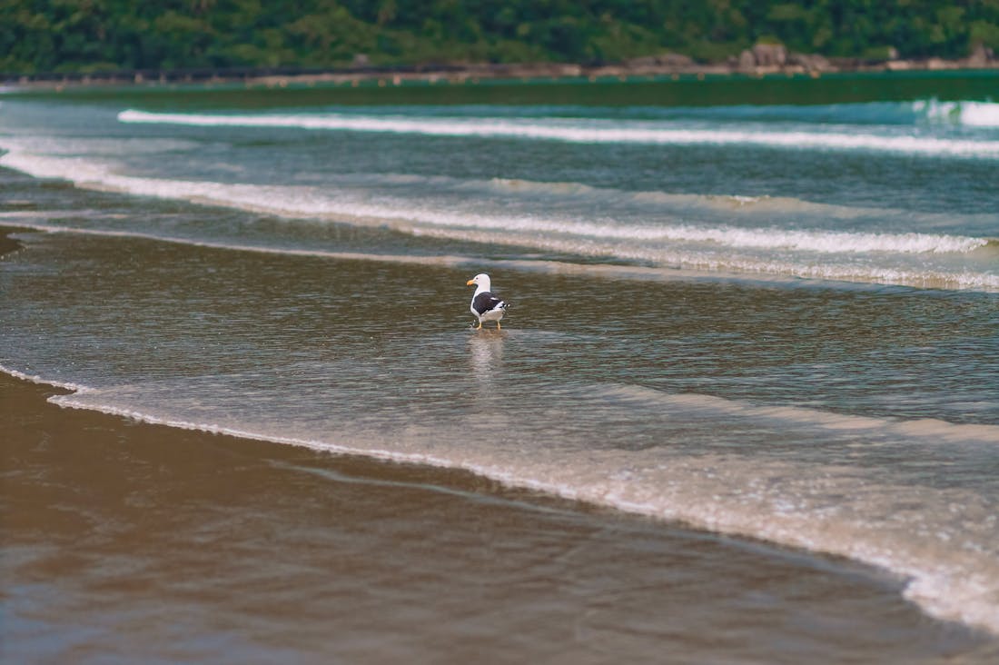 Innovative Travel Experiences Off the Beaten Path Image 1