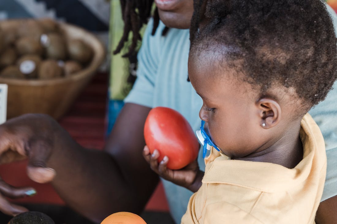 Innovative Travel Ideas for Eco-Conscious Adventurers Image 2