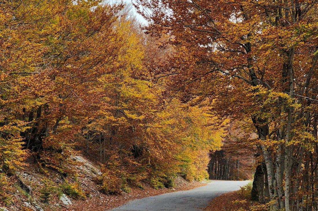 Innovative Travel Trends: Embracing Eco-Friendly Practices for Sustainable Adventures Image 1