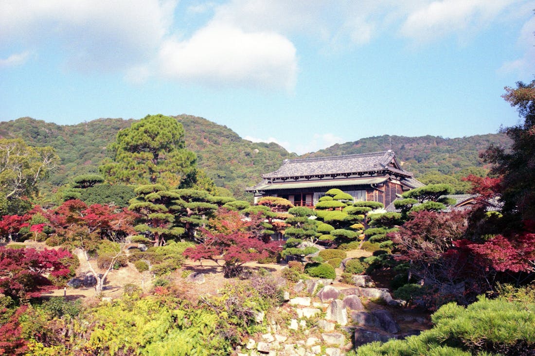 Innovative Trends Influencing Modern Travel Experiences Image 3