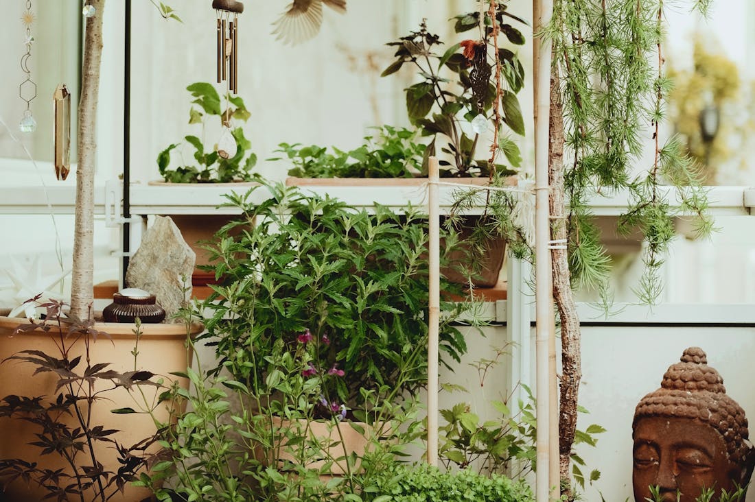 Insights into Personal Finance Management: Building Wealth Wisely Image 1