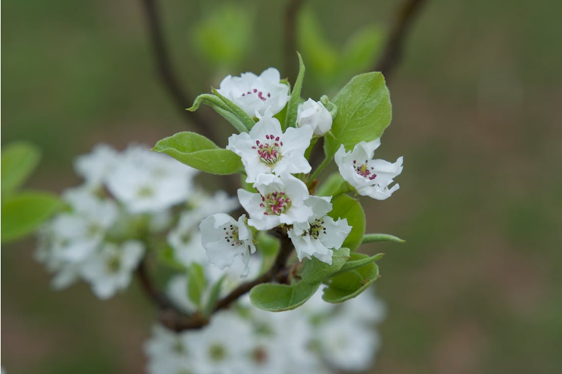 Investing Basics: How to Start Building Wealth Without Breaking the Bank Image 2