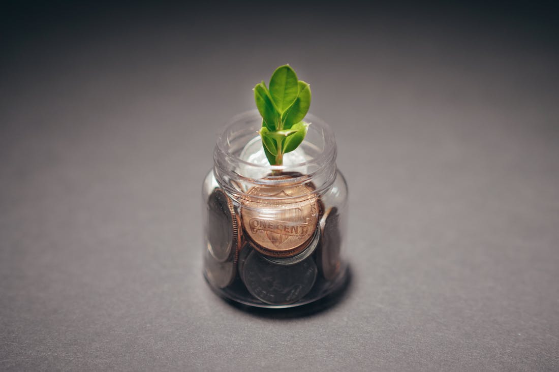 Investing in a Greener Future: How Sustainable Practices Can Shape Your Financial Wellness Image 1