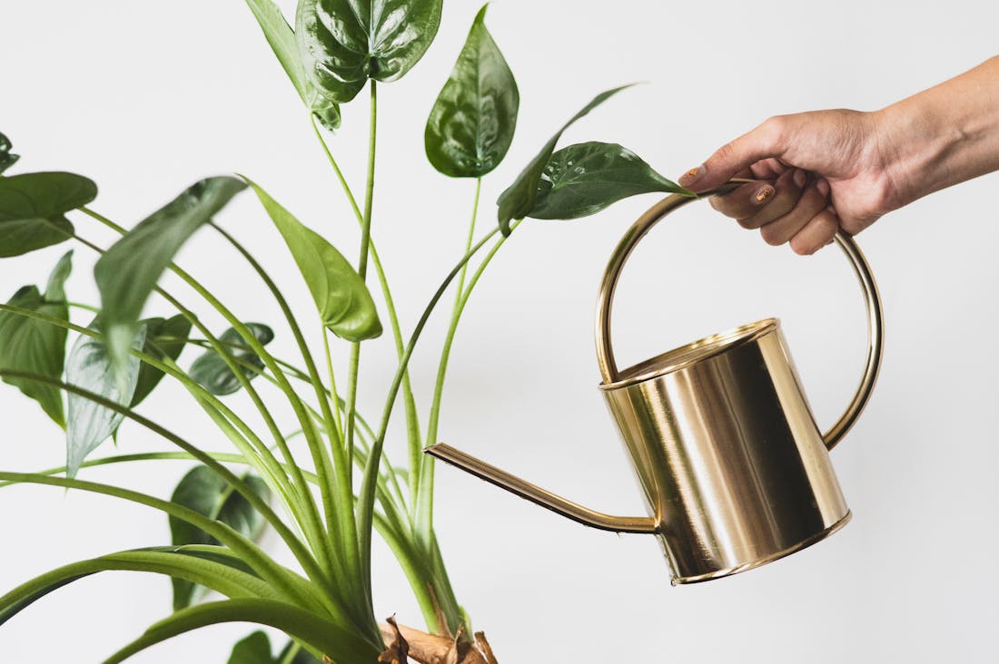 Investing in Electric Vehicles: A Practical Guide for Modern Drivers Image 3