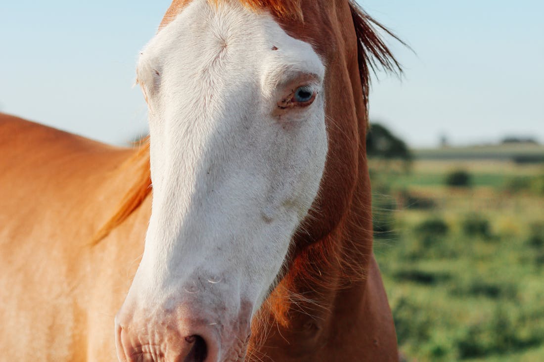 Investing in Your Future: Smart Strategies for Your Personal Portfolio Image 2