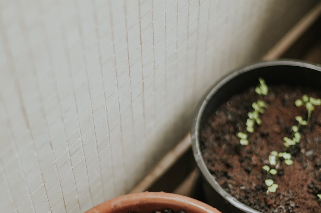 Investment Strategies for Every Stage of Life: Building Wealth Wisely Image 1