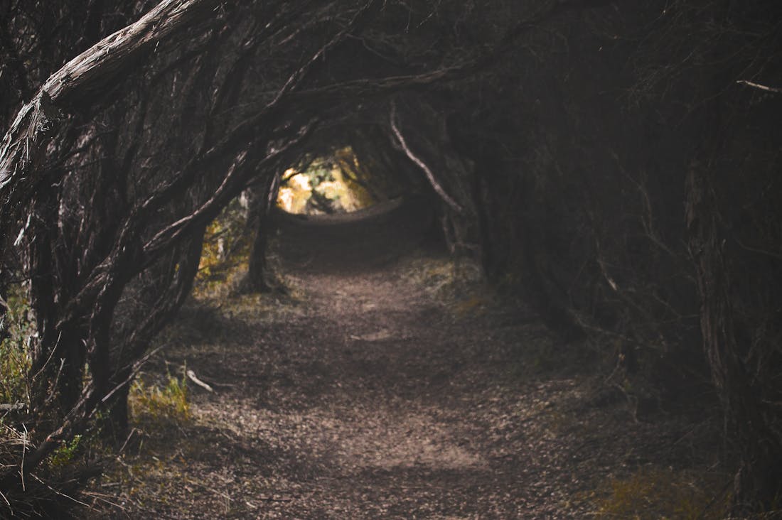 Journey Beyond Boundaries: Tips for Embracing Authentic Travel Experiences Image 2