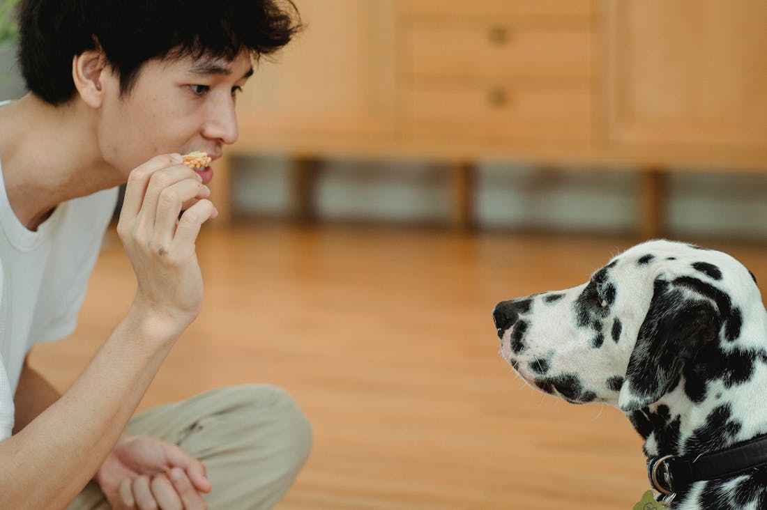 Key Principles for Building Wealth Through Smart Investments Image 2