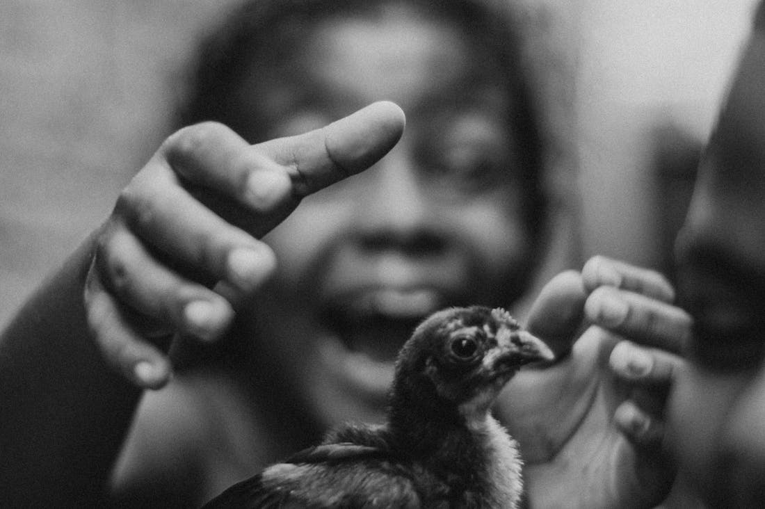 Lifestyle Adjustments for Enhanced Mental Wellbeing Image 3