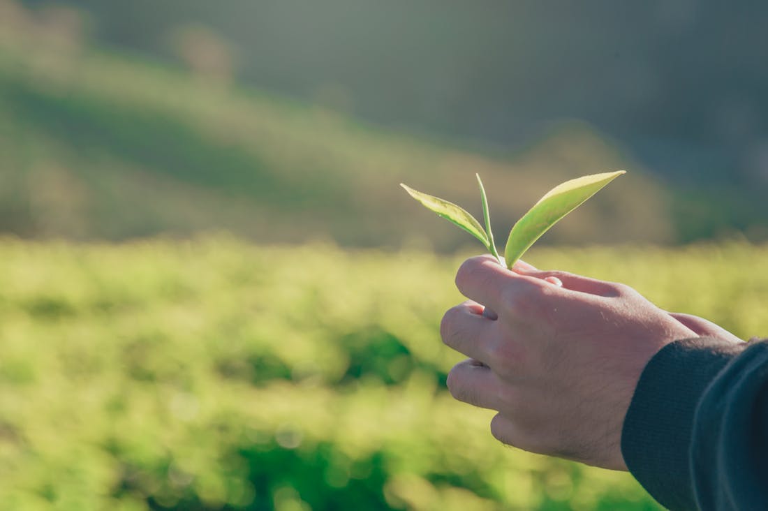 Lifestyle Changes for Enhanced Personal Productivity Image 3