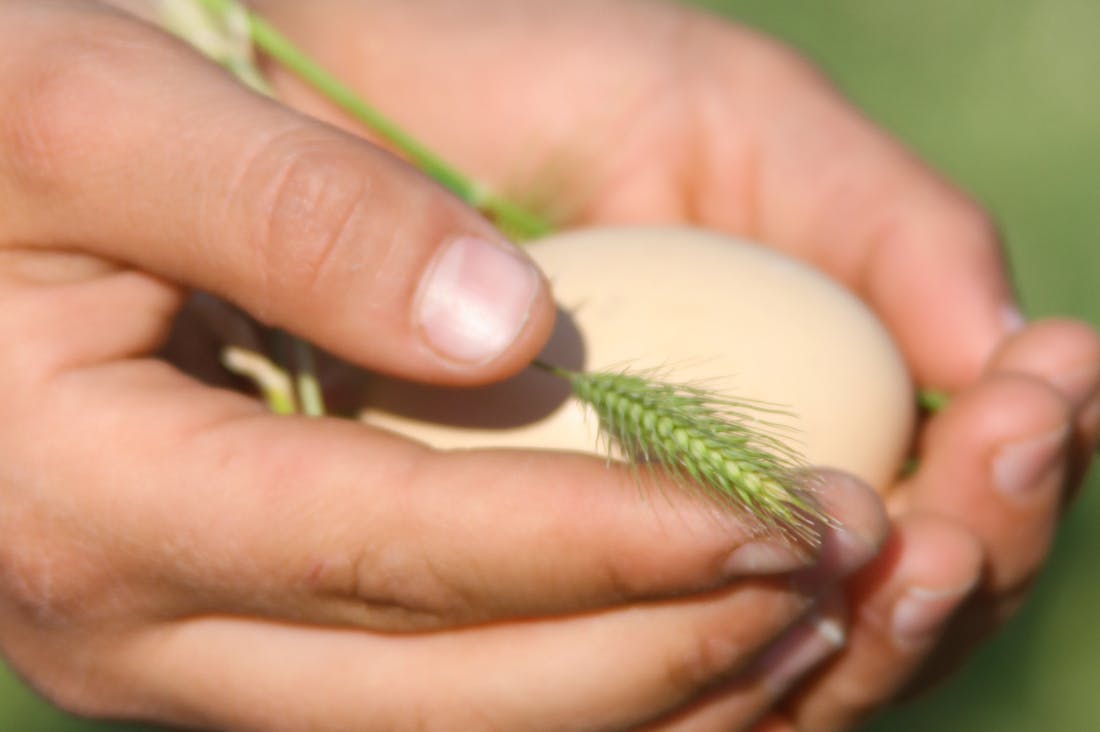 Lifestyle Changes for Enhanced Productivity and Personal Growth Image 3