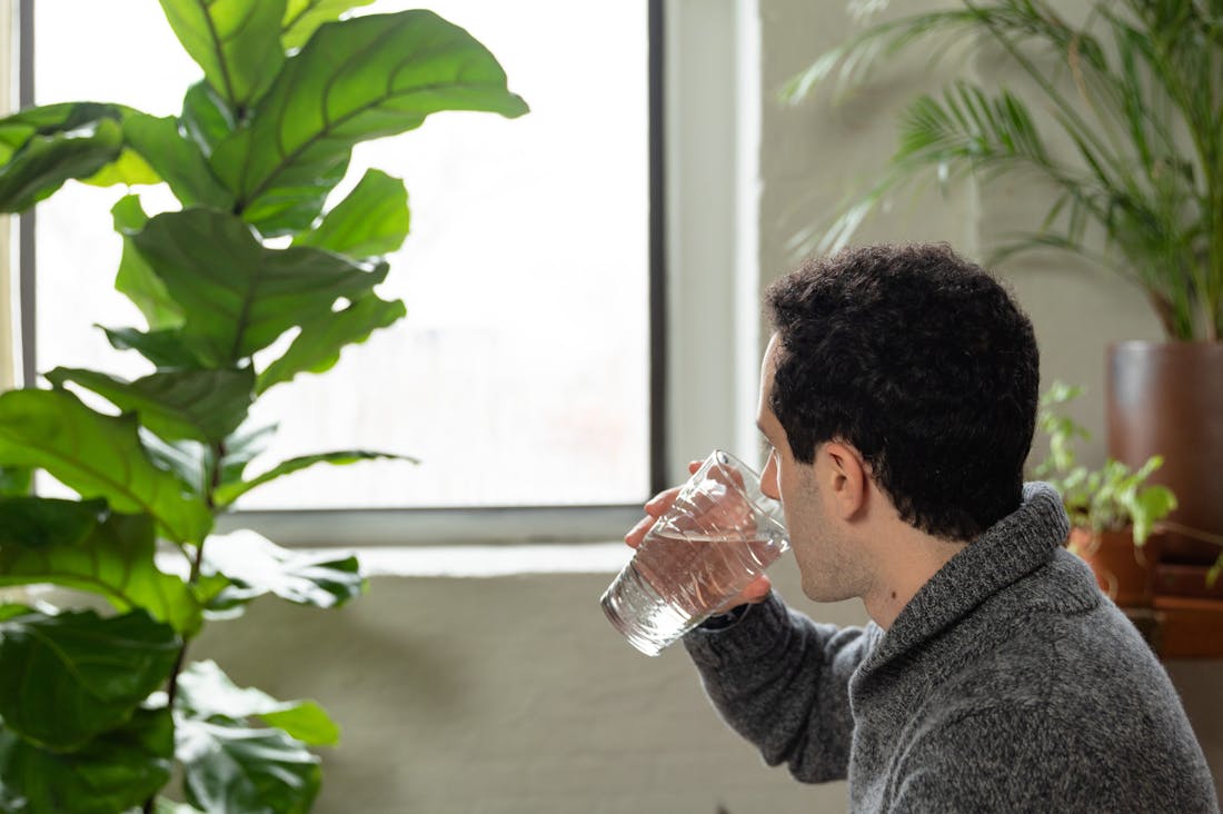 Lifestyle Changes for Enhanced Productivity: Small Adjustments that Make a Big Difference Image 3