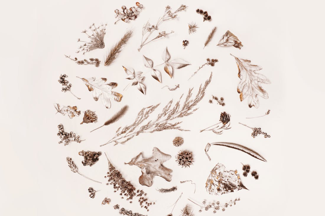 Lifestyle Changes for Sustainable Personal Finance Image 1