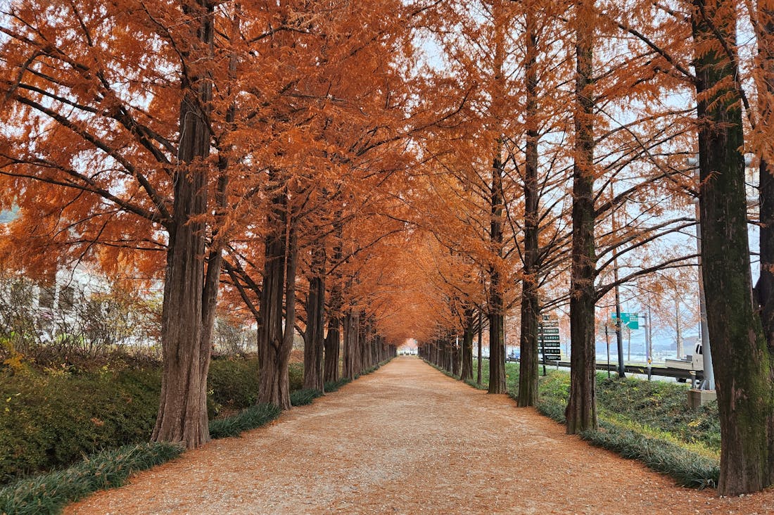 Lifestyle Changes to Enhance Mental Well-Being: Simple Steps for a Better You Image 1