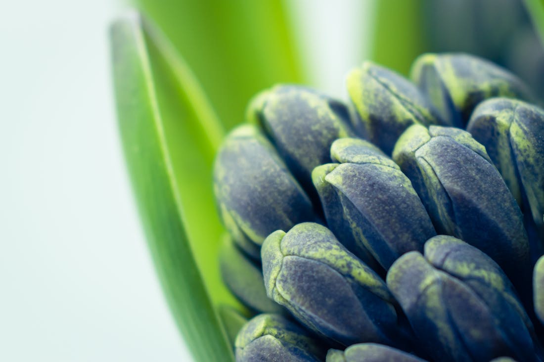 Lifestyle Design: Crafting a Life That Reflects Your Values Image 3