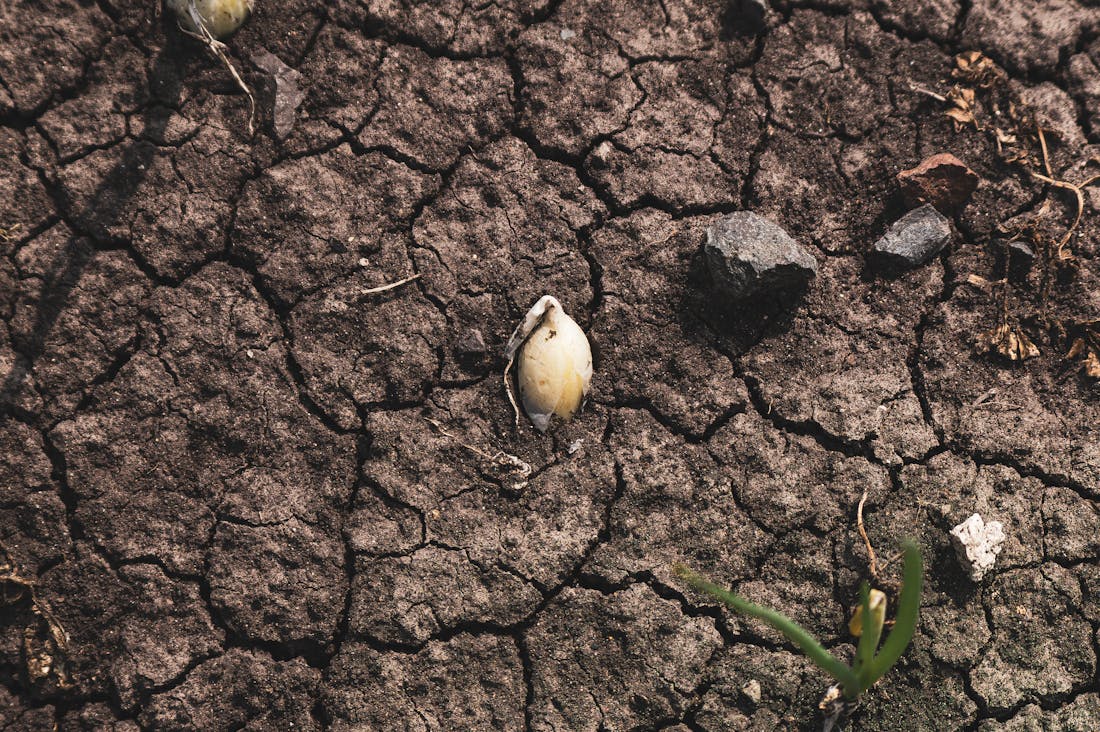 Lifestyle Shifts: Essential Skills for Adapting to a Rapidly Changing World Image 1