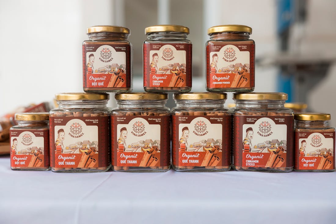 Lifestyle Trends Influencing Modern Living and Personal Choices Image 2