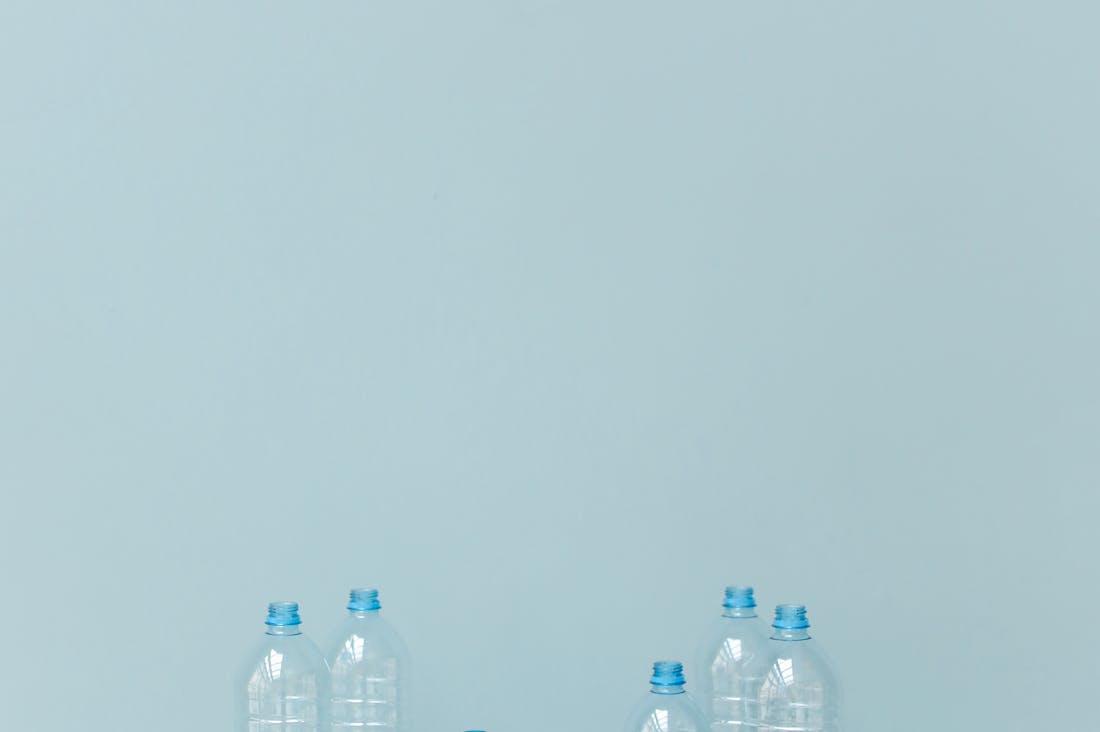 Living Sustainably: Embracing Eco-Friendly Practices for a Healthier Lifestyle and Planet Image 2